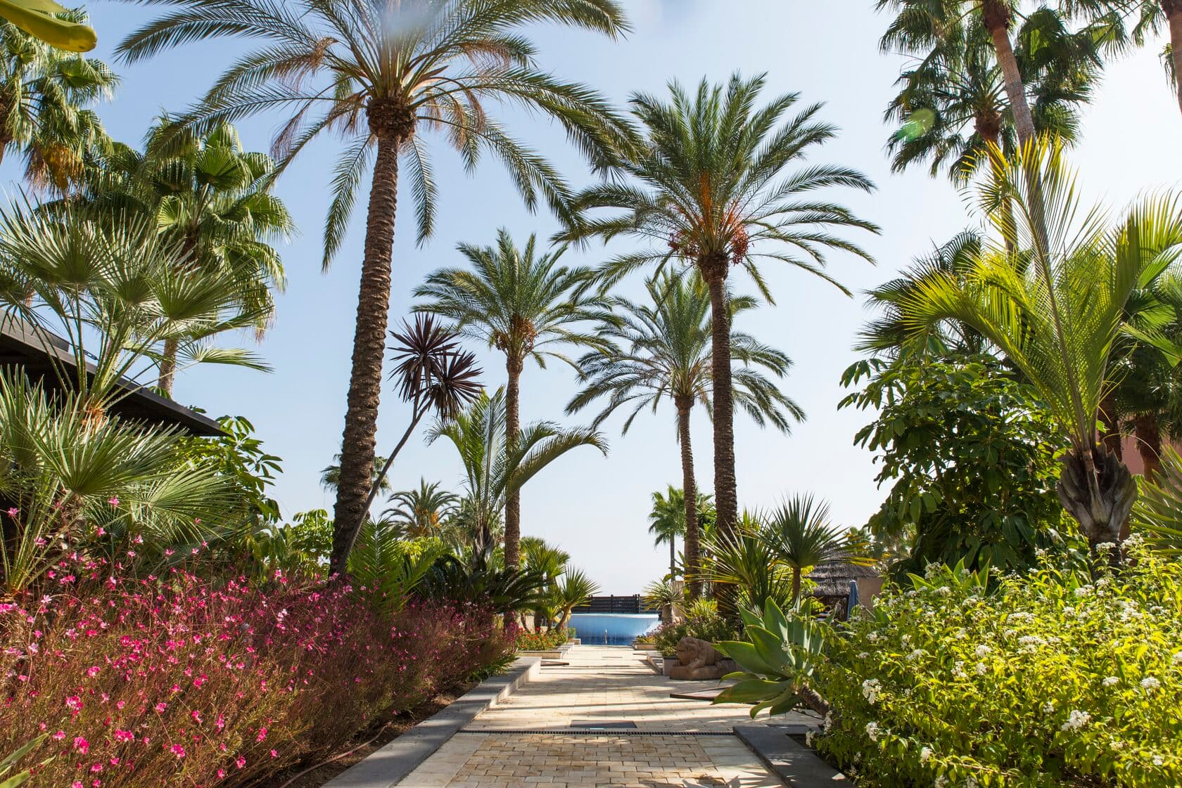 Mar Azul tropical gardens
